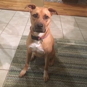 Meet your Posher, Ashley